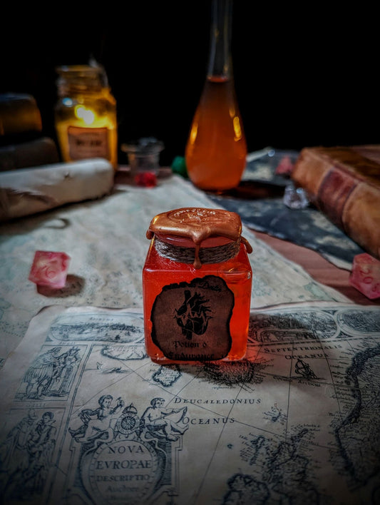 Modeste potion - Potion d'EnduranceTales of Dice